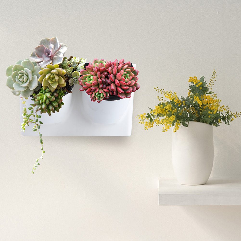 Self Watering Flower Pot Plast - огляд і ціна Self-Watering Planter