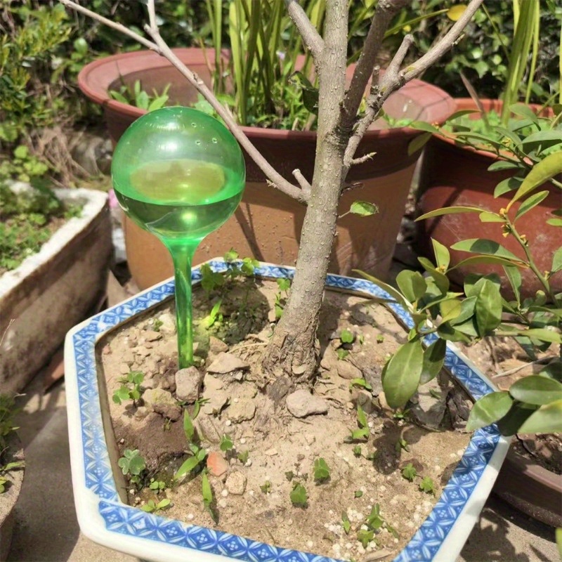6PCS Indoor Plants Self Wateri - огляд і ціна Automatic Plant Waterer